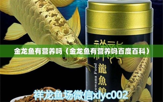 金龍魚的優勢在哪（金龍魚優勢分析）