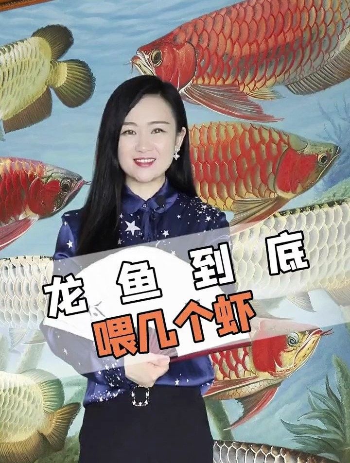 龍魚吃凍蝦一次喂多少合適？