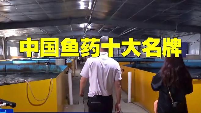 龍魚(yú)專(zhuān)用藥物中哪個(gè)品牌最好？