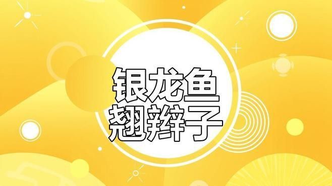 銀龍魚突然死亡