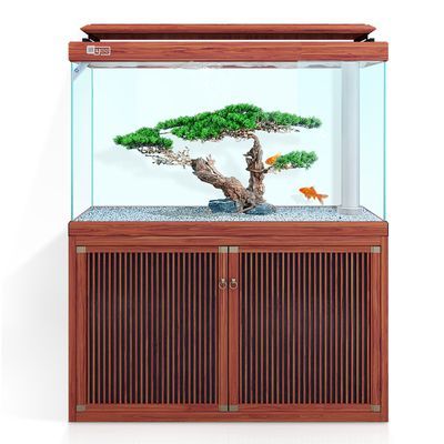 龍魚造景缸：如何維護龍魚造景缸生態平衡，龍魚造景缸內裝飾品推薦