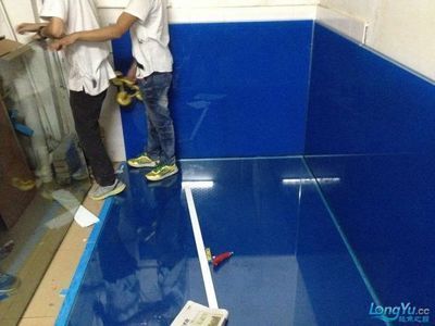 龍魚地缸：養龍魚地缸尺寸要求、水質管理、飼養注意事項以及飼養注意事項