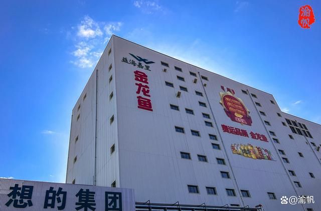 湖南金龍魚實業有限公司【湖南金龍魚實業有限公司在湖南金龍魚實業有限公司在哪里】
