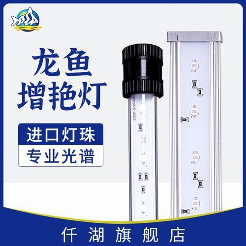 推薦幾款適合紅金龍魚的LED燈
