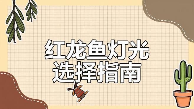 推薦幾款適合紅金龍魚的LED燈