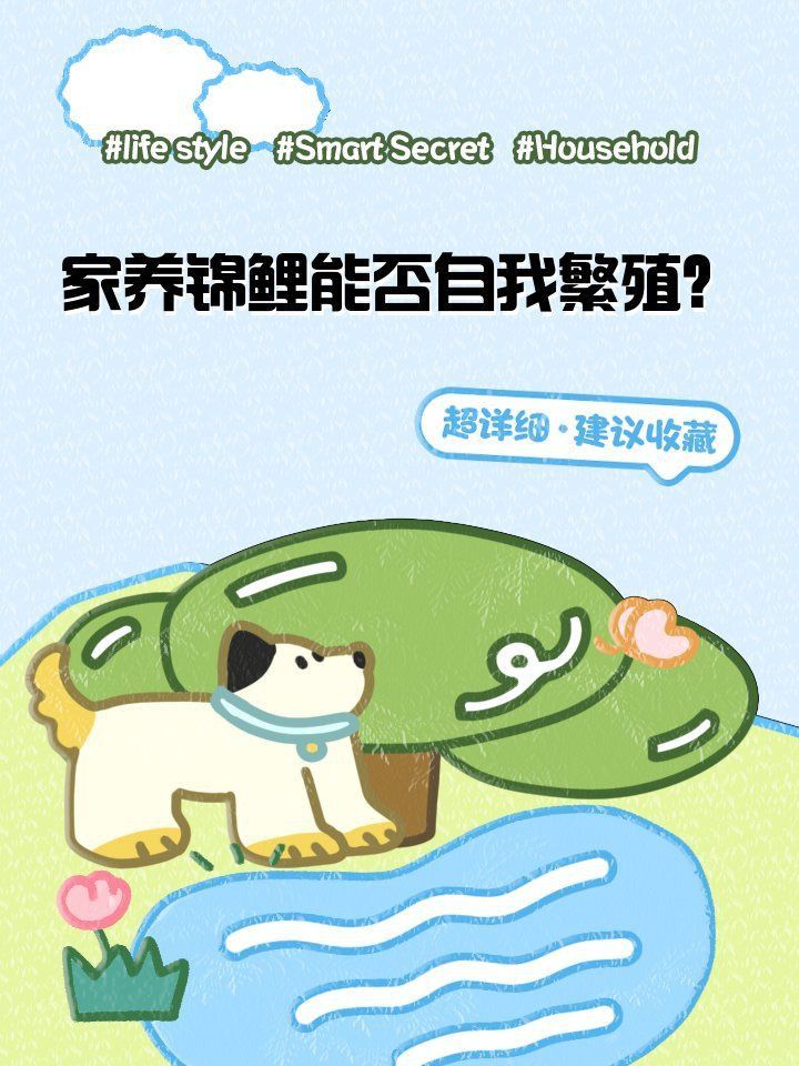錦鯉生小魚嗎？