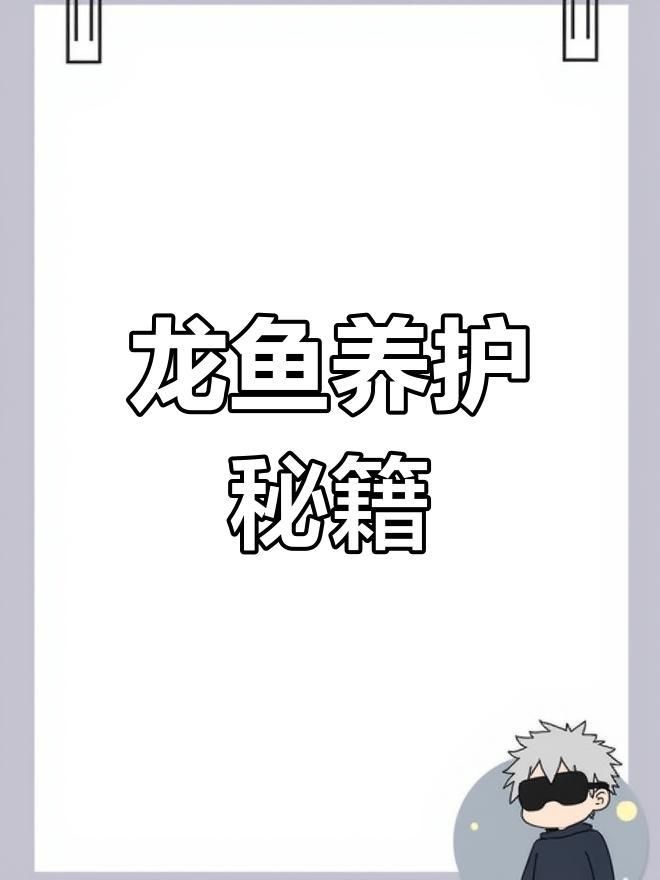 龍魚過背高背最簡單鑒別方法
