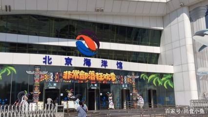 北京龍魚批發市場營業時間，北京龍魚批發市場周末營業嗎