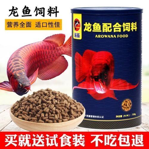 銀龍魚吃什么飼料顏色最好呢圖片