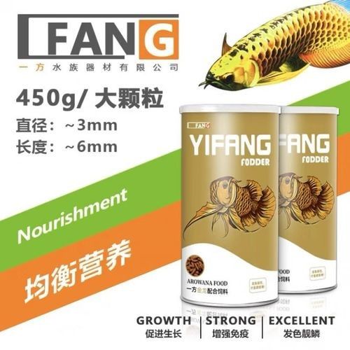 銀龍魚吃什么飼料顏色最好呢圖片