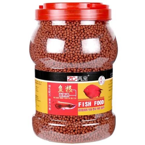 銀龍魚吃什么飼料顏色最好呢圖片