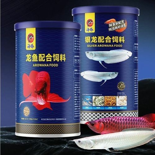 銀龍魚吃什么飼料顏色最好呢圖片