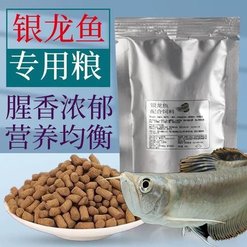 銀龍魚吃什么飼料顏色最好呢圖片
