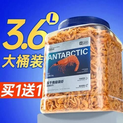 銀龍魚吃什么飼料顏色最好呢圖片