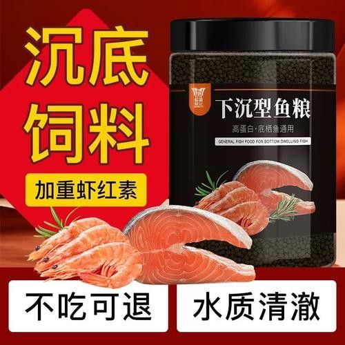 銀龍魚吃什么飼料顏色最好呢圖片