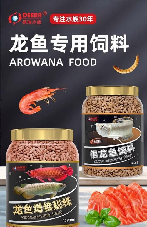 銀龍魚吃什么飼料顏色最好呢圖片