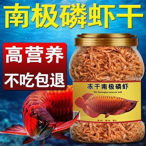 銀龍魚吃什么飼料顏色最好呢圖片