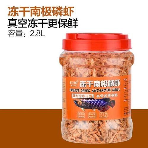 銀龍魚吃什么飼料顏色最好呢圖片