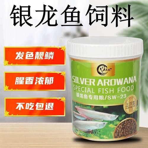 銀龍魚吃什么飼料顏色最好呢圖片