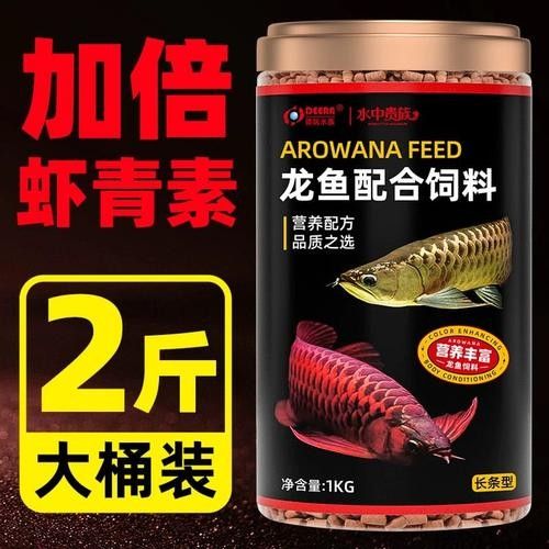 銀龍魚吃什么飼料顏色最好呢圖片