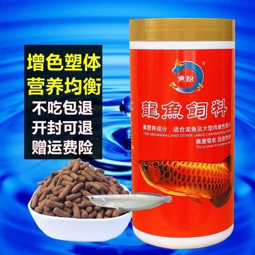 銀龍魚吃什么飼料顏色最好呢圖片
