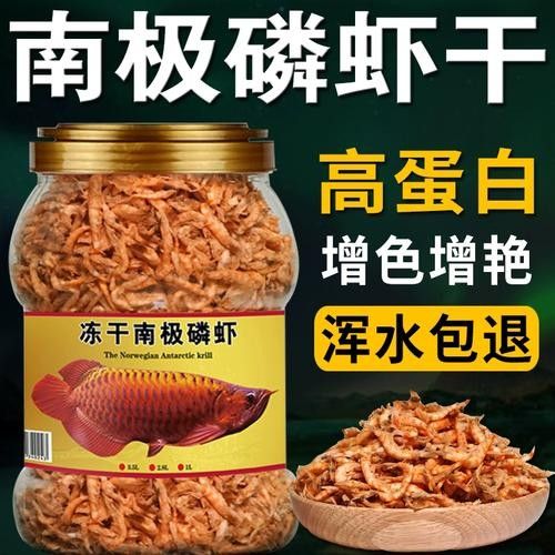 銀龍魚吃什么飼料顏色最好呢圖片