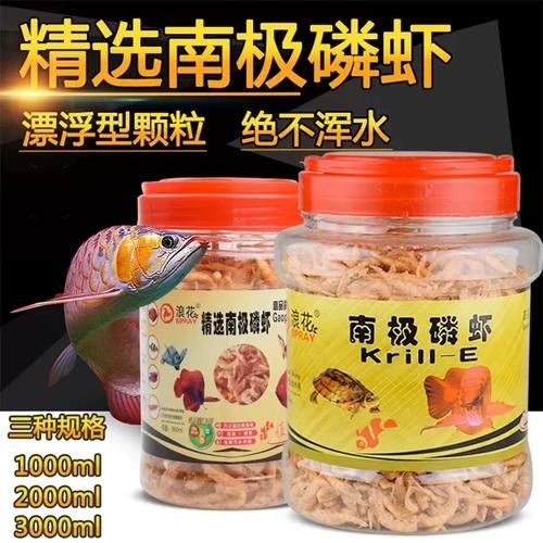 銀龍魚吃什么飼料顏色最好呢圖片