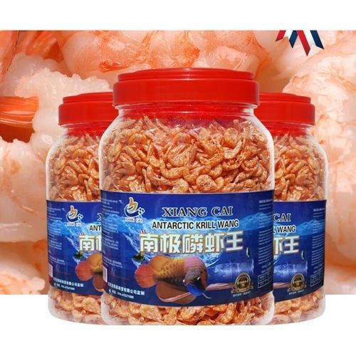 銀龍魚吃什么飼料顏色最好呢圖片
