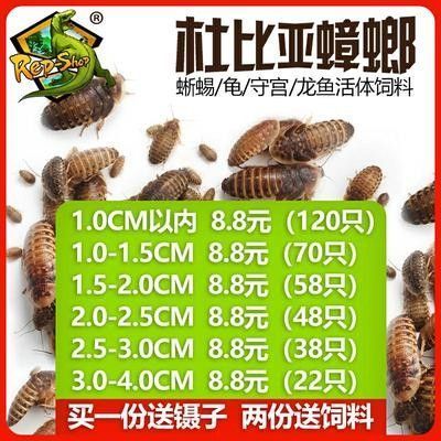 龍魚活體飼料配方比例：關于龍魚活體飼料配方比例