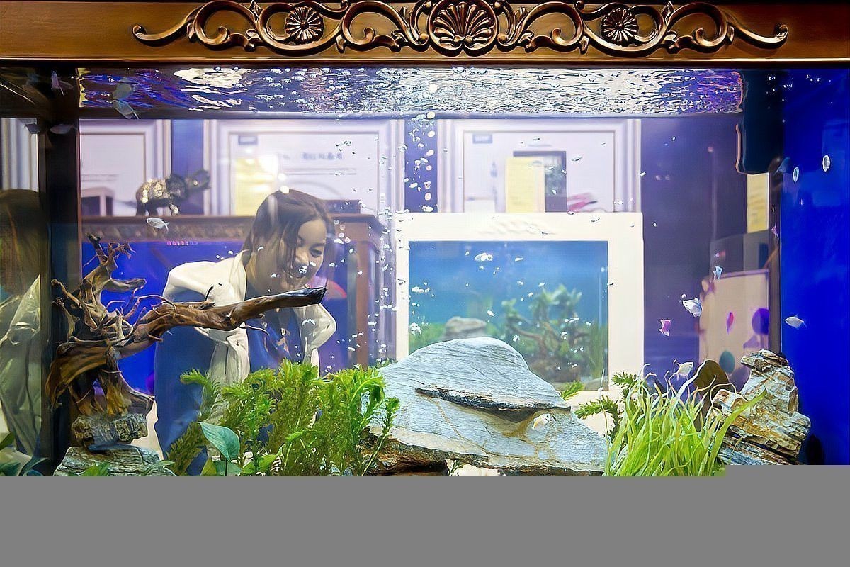 恐龍魚適合水溫多少度