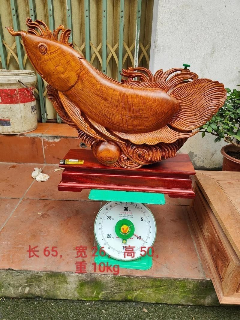 緬甸圖騰金龍魚圖片高清