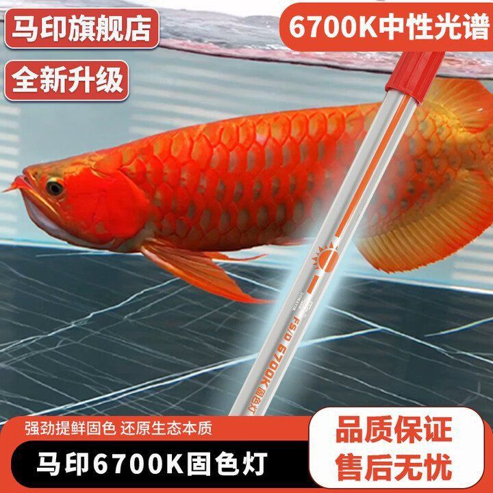 馬印官方旗艦店