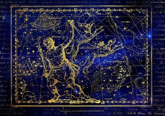 金龍魚怎么樣才會變色：如何模擬自然光照養金龍魚