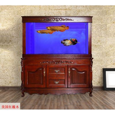 錦鯉龍魚風水：錦鯉和龍魚在風水上有什么作用？