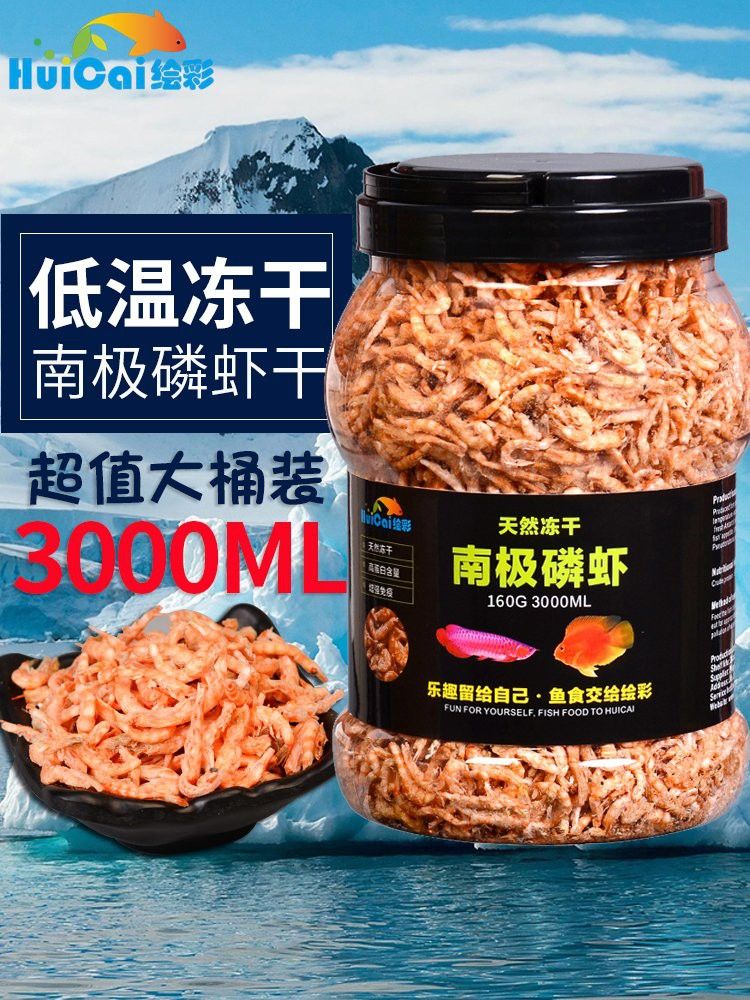 紅龍魚除了干食還能吃什么？