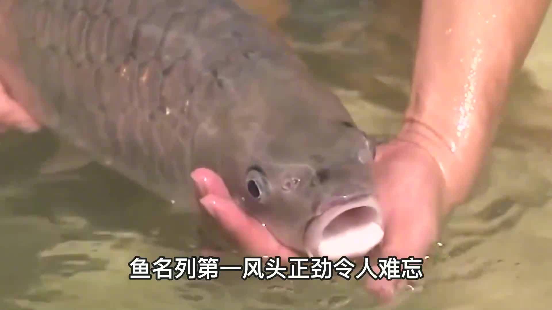 馬來西亞風車果