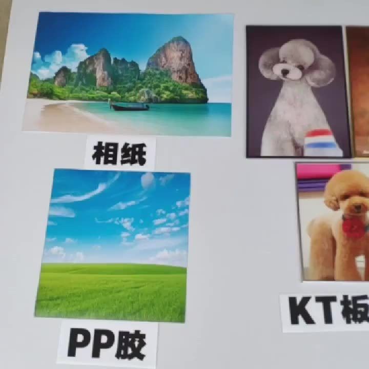 給我更多不同風(fēng)格的招財(cái)金龍圖片 給我更多不同風(fēng)格的招財(cái)金龍圖片 龍魚(yú)百科 第32張