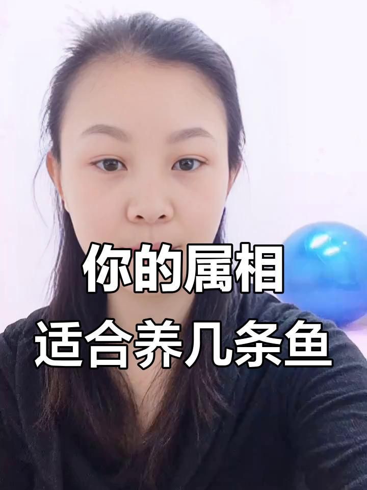 屬龍的人適合養(yǎng)什么種類的魚？