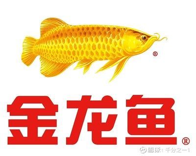 金龍魚發(fā)展戰(zhàn)略：“6步鮮米精控技術”深入踐行esg理念