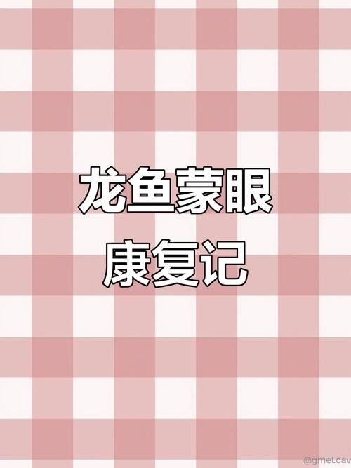 龍魚(yú)蒙眼應(yīng)該怎么治療好呢圖片