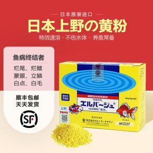 龍魚 白毛：龍魚白點(diǎn)病怎么辦