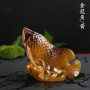 金龍魚變色：金龍魚的體色變化可能與其遺傳基因有關