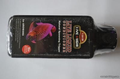 頂級龍魚批發商家（頂級龍魚批發商家信息）