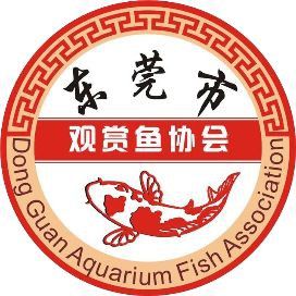 錦鯉是辟邪還是招邪