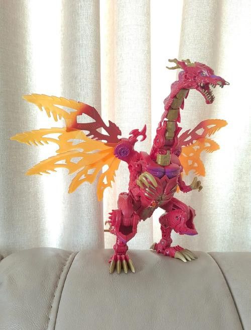 百萬紅龍魚圖片