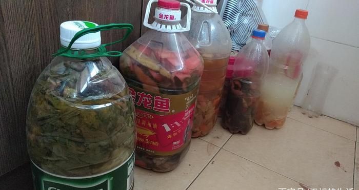土龍魚的營養價值及功效（土龍魚中的維生素a和維生素e是強大的抗氧化劑的抗氧化劑）
