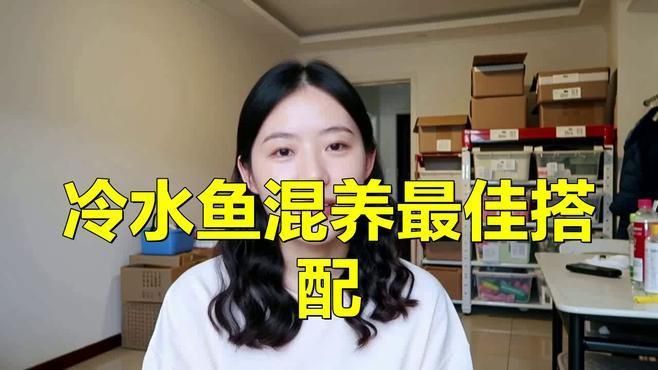 哪些冷水魚可以混養