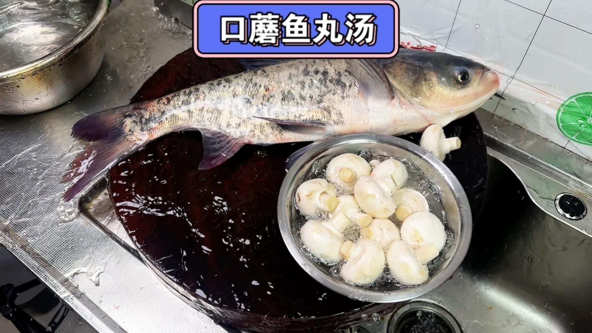 龍頭魚(yú)魚(yú)丸有哪些經(jīng)典做法？