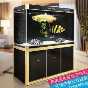 龍魚的缸要多大，關于龍魚缸最佳尺寸的詳細信息