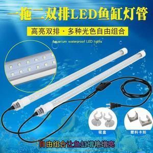 龍魚燈管應該放在哪個部位：在飼養龍魚的過程中，燈管的擺放位置是非常重要的